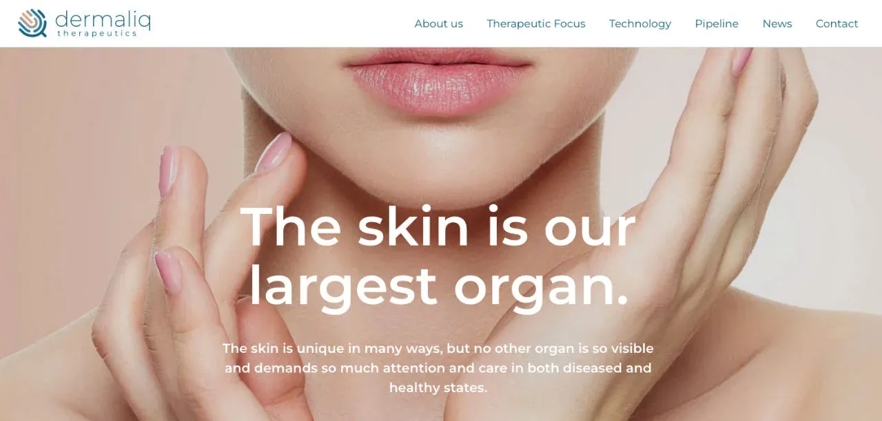 Webdesign und Internetprogrammierung für Dermaliq